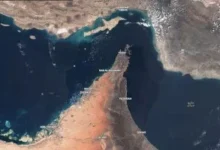 كماشة