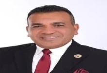 النائب