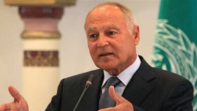أبو الغيط
