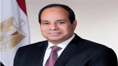 الرئيس السيسي