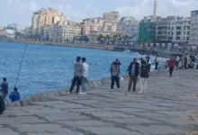 الأرصاد