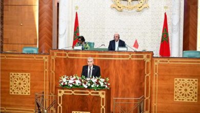 مجلس الشيوخ