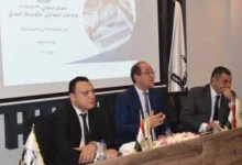 المالية